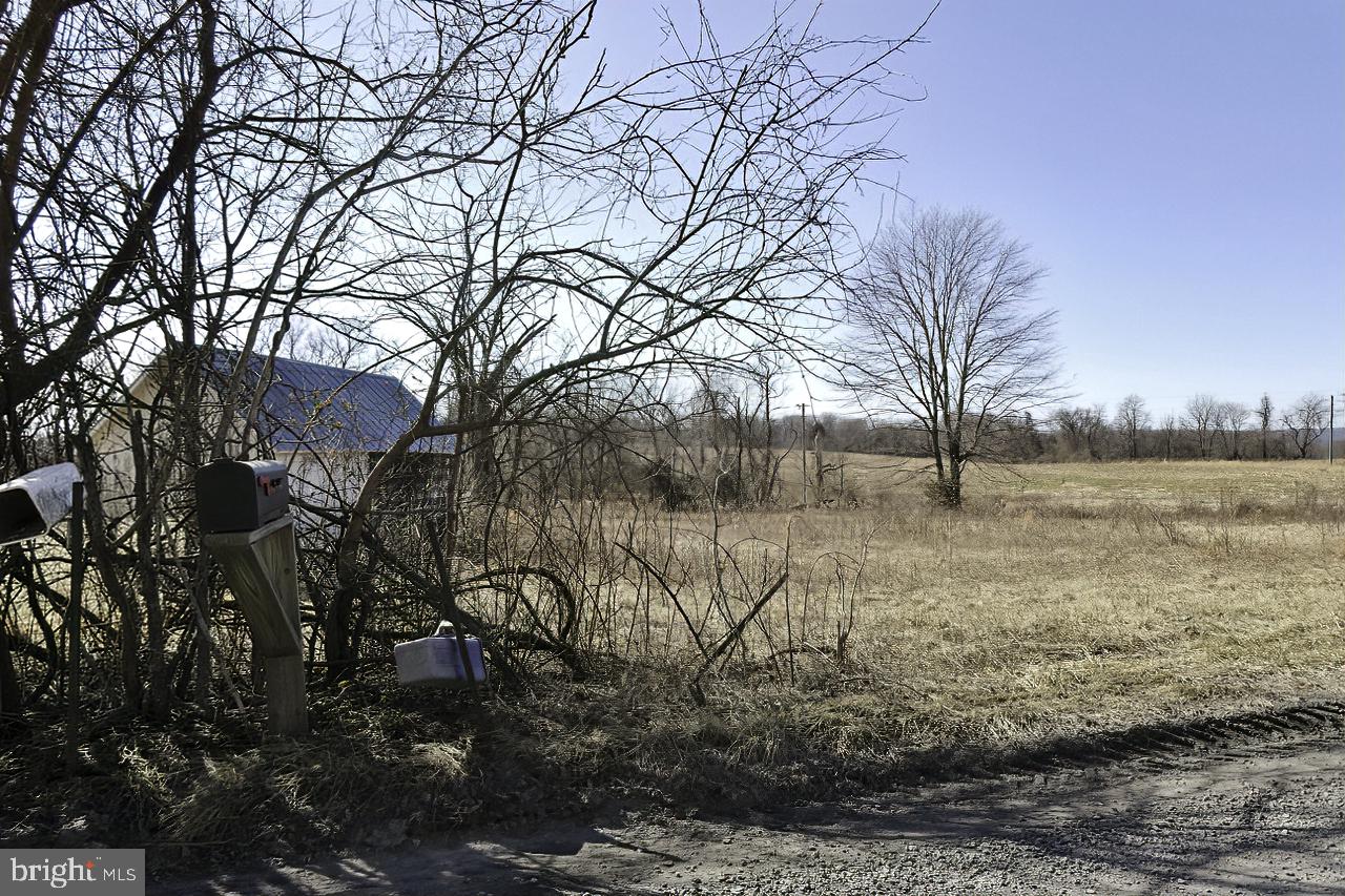 40455 QUARTER BRANCH RD, LOVETTSVILLE, Virginia 20180, ,Land,For Sale,40455 QUARTER BRANCH RD,VALO2090088 MLS # VALO2090088 40455 QUARTER BRANCH RD, LOVETTSVILLE, Virginia 20180, ,Land,For Sale,40455 QUARTER BRANCH RD,VALO2090088 MLS # VALO2090088