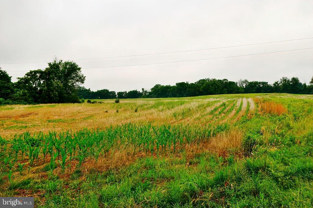 40455 QUARTER BRANCH RD, LOVETTSVILLE, Virginia 20180, ,Land,For Sale,40455 QUARTER BRANCH RD,VALO2090088 MLS # VALO2090088 40455 QUARTER BRANCH RD, LOVETTSVILLE, Virginia 20180, ,Land,For Sale,40455 QUARTER BRANCH RD,VALO2090088 MLS # VALO2090088