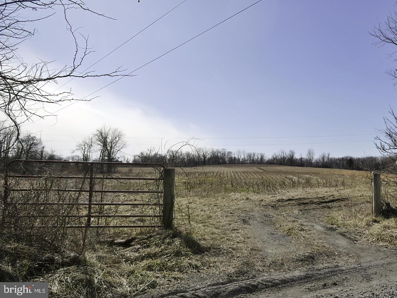 40455 QUARTER BRANCH RD, LOVETTSVILLE, Virginia 20180, ,Land,For Sale,40455 QUARTER BRANCH RD,VALO2090088 MLS # VALO2090088 40455 QUARTER BRANCH RD, LOVETTSVILLE, Virginia 20180, ,Land,For Sale,40455 QUARTER BRANCH RD,VALO2090088 MLS # VALO2090088