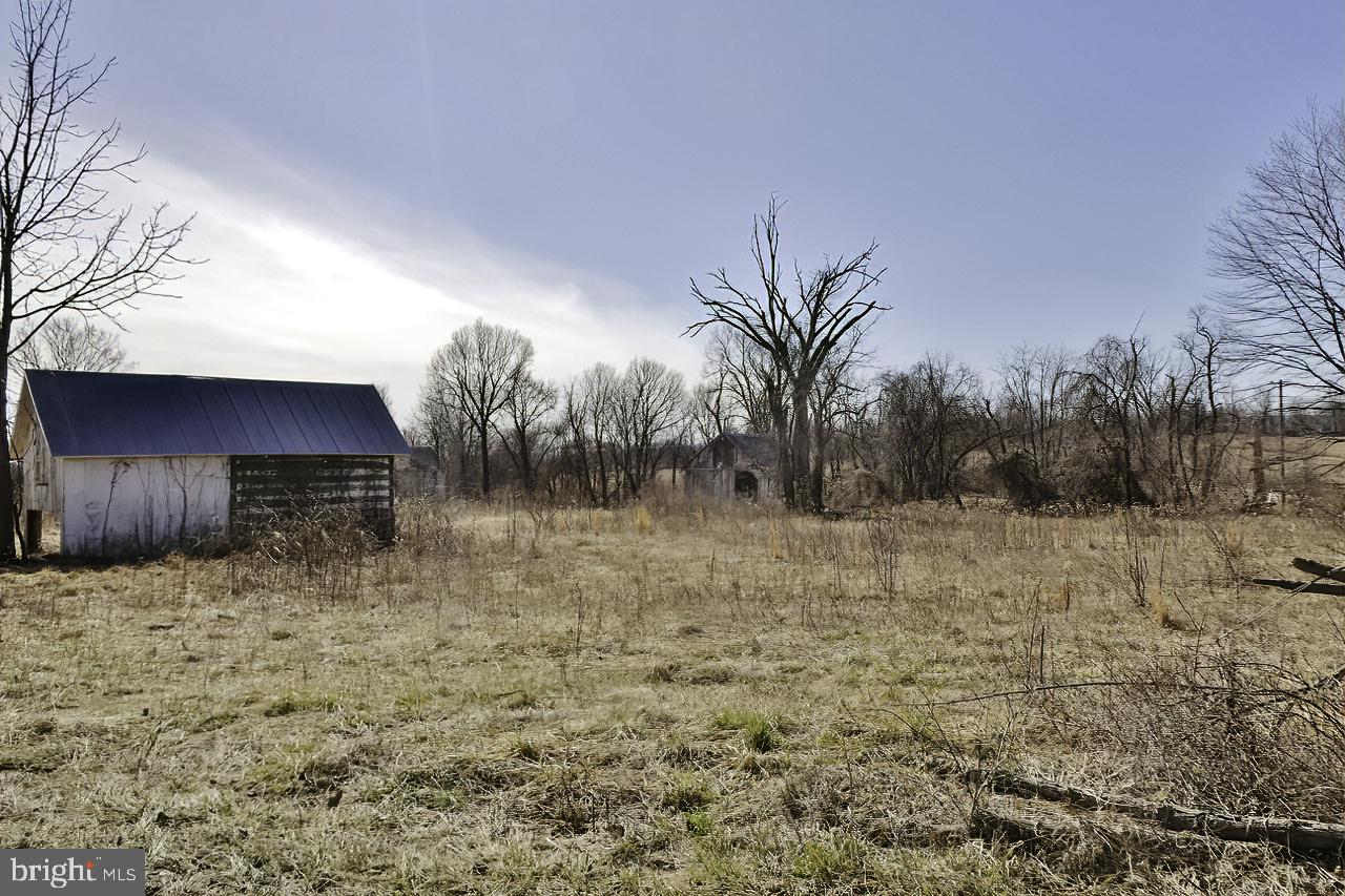 40455 QUARTER BRANCH RD, LOVETTSVILLE, Virginia 20180, ,Land,For Sale,40455 QUARTER BRANCH RD,VALO2090088 MLS # VALO2090088 40455 QUARTER BRANCH RD, LOVETTSVILLE, Virginia 20180, ,Land,For Sale,40455 QUARTER BRANCH RD,VALO2090088 MLS # VALO2090088