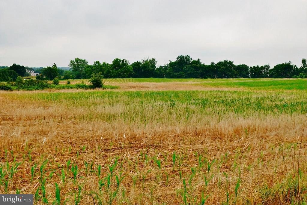 40455 QUARTER BRANCH RD, LOVETTSVILLE, Virginia 20180, ,Land,For Sale,40455 QUARTER BRANCH RD,VALO2090088 MLS # VALO2090088 40455 QUARTER BRANCH RD, LOVETTSVILLE, Virginia 20180, ,Land,For Sale,40455 QUARTER BRANCH RD,VALO2090088 MLS # VALO2090088