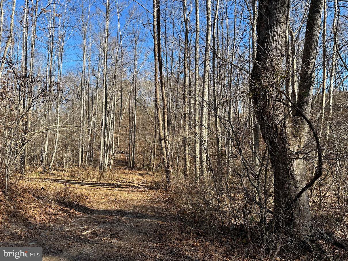 OLD DRIVER HILL ROAD (TRACT: H.M. DUVAL-1), SCOTTSVILLE, Virginia 24590, ,Farm,For Sale,OLD DRIVER HILL ROAD (TRACT: H.M. DUVAL-1),VAFN2000428 MLS # VAFN2000428