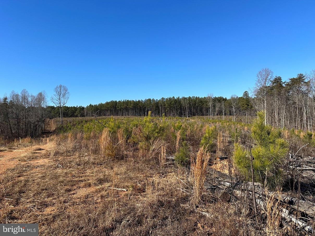 OLD DRIVER HILL ROAD (TRACT: H.M. DUVAL-1), SCOTTSVILLE, Virginia 24590, ,Farm,For Sale,OLD DRIVER HILL ROAD (TRACT: H.M. DUVAL-1),VAFN2000428 MLS # VAFN2000428