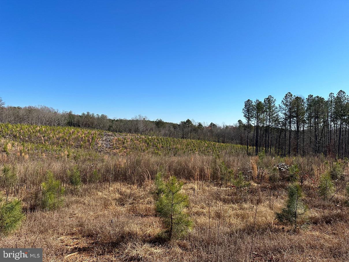 OLD DRIVER HILL ROAD (TRACT: H.M. DUVAL-1), SCOTTSVILLE, Virginia 24590, ,Farm,For Sale,OLD DRIVER HILL ROAD (TRACT: H.M. DUVAL-1),VAFN2000428 MLS # VAFN2000428