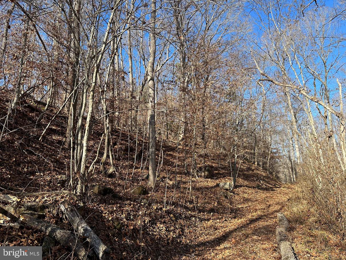 OLD DRIVER HILL ROAD (TRACT: H.M. DUVAL-1), SCOTTSVILLE, Virginia 24590, ,Farm,For Sale,OLD DRIVER HILL ROAD (TRACT: H.M. DUVAL-1),VAFN2000428 MLS # VAFN2000428