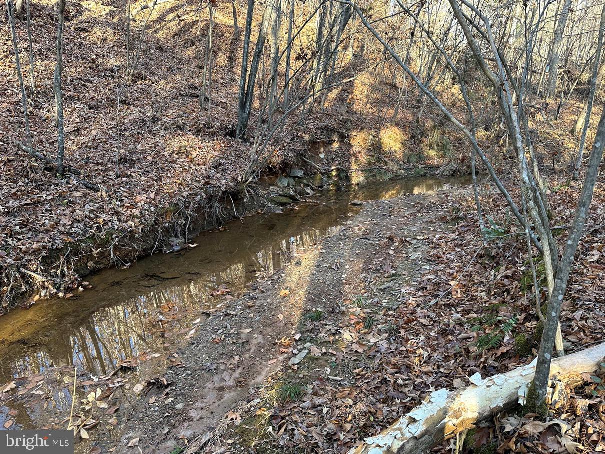 OLD DRIVER HILL ROAD (TRACT: H.M. DUVAL-1), SCOTTSVILLE, Virginia 24590, ,Farm,For Sale,OLD DRIVER HILL ROAD (TRACT: H.M. DUVAL-1),VAFN2000428 MLS # VAFN2000428