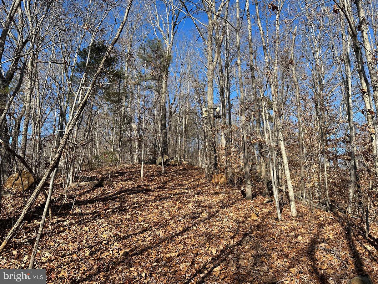 OLD DRIVER HILL ROAD (TRACT: H.M. DUVAL-1), SCOTTSVILLE, Virginia 24590, ,Farm,For Sale,OLD DRIVER HILL ROAD (TRACT: H.M. DUVAL-1),VAFN2000428 MLS # VAFN2000428