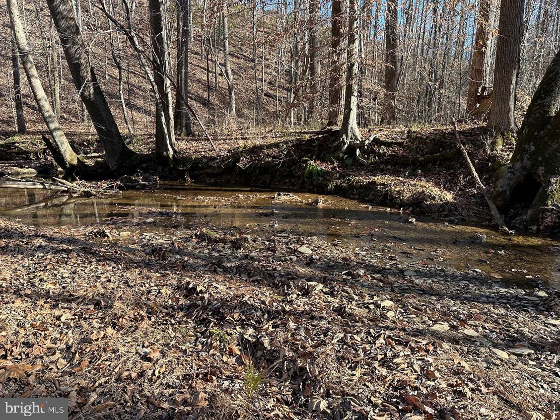 OLD DRIVER HILL ROAD (TRACT: H.M. DUVAL-1), SCOTTSVILLE, Virginia 24590, ,Farm,For Sale,OLD DRIVER HILL ROAD (TRACT: H.M. DUVAL-1),VAFN2000428 MLS # VAFN2000428