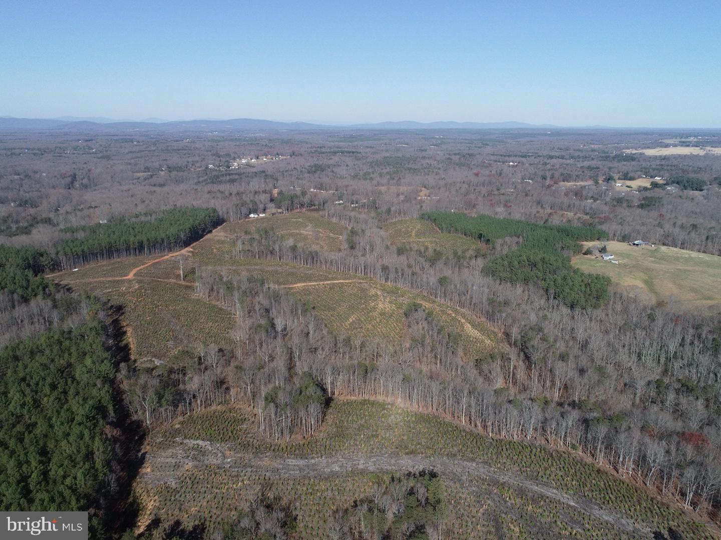 OLD DRIVER HILL ROAD (TRACT: H.M. DUVAL-1), SCOTTSVILLE, Virginia 24590, ,Farm,For Sale,OLD DRIVER HILL ROAD (TRACT: H.M. DUVAL-1),VAFN2000428 MLS # VAFN2000428