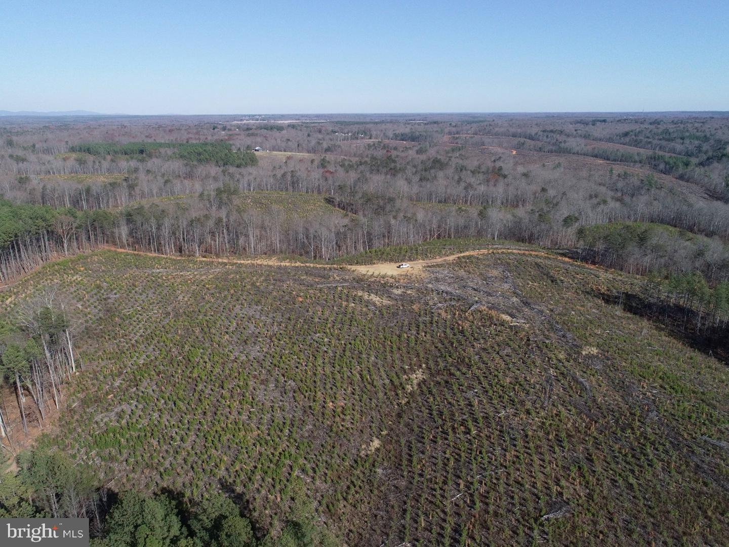 OLD DRIVER HILL ROAD (TRACT: H.M. DUVAL-1), SCOTTSVILLE, Virginia 24590, ,Farm,For Sale,OLD DRIVER HILL ROAD (TRACT: H.M. DUVAL-1),VAFN2000428 MLS # VAFN2000428