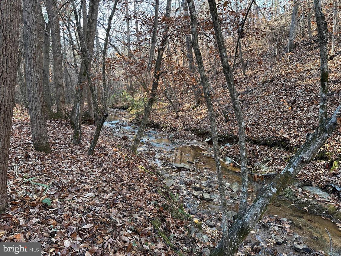 OLD DRIVER HILL ROAD (TRACT: H.M. DUVAL-1), SCOTTSVILLE, Virginia 24590, ,Farm,For Sale,OLD DRIVER HILL ROAD (TRACT: H.M. DUVAL-1),VAFN2000428 MLS # VAFN2000428