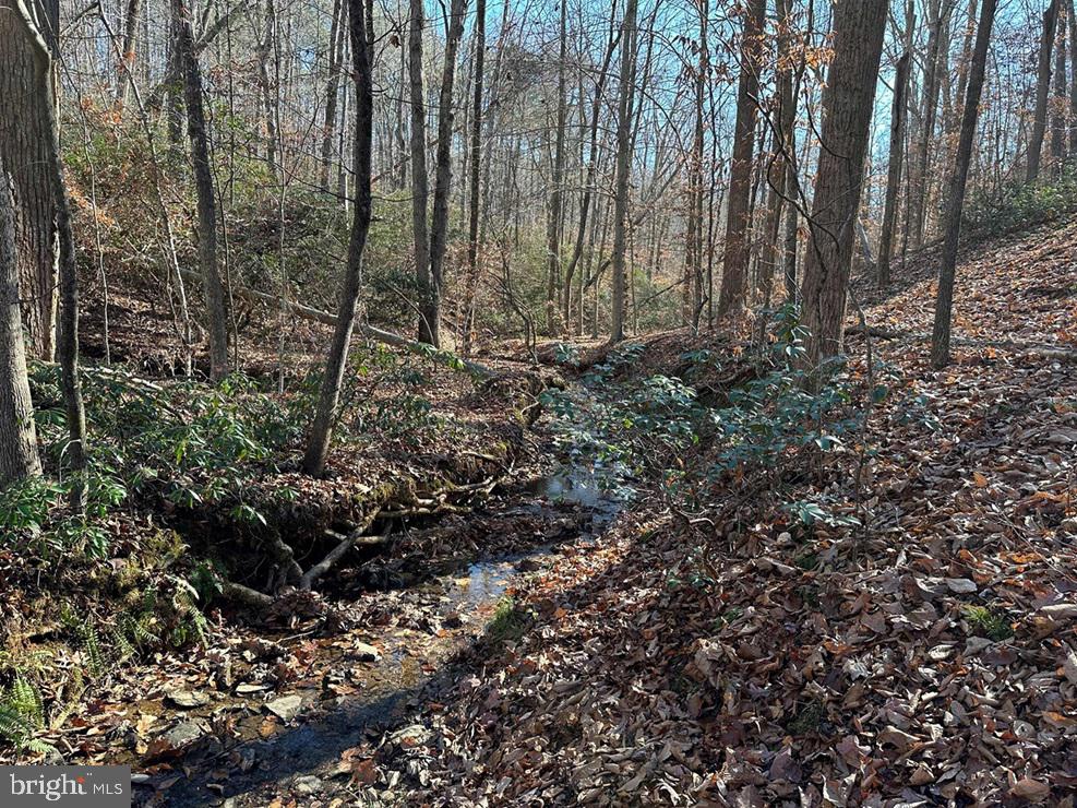 OLD DRIVER HILL ROAD (TRACT: H.M. DUVAL-1), SCOTTSVILLE, Virginia 24590, ,Farm,For Sale,OLD DRIVER HILL ROAD (TRACT: H.M. DUVAL-1),VAFN2000428 MLS # VAFN2000428