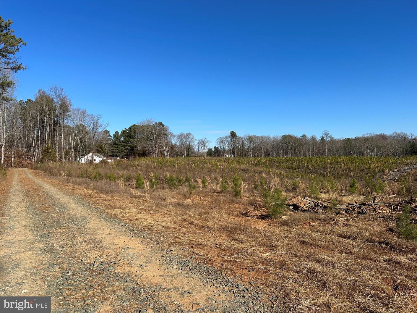 OLD DRIVER HILL ROAD (TRACT: H.M. DUVAL-1), SCOTTSVILLE, Virginia 24590, ,Farm,For Sale,OLD DRIVER HILL ROAD (TRACT: H.M. DUVAL-1),VAFN2000428 MLS # VAFN2000428