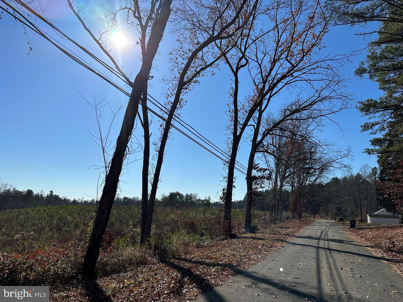 OLD DRIVER HILL ROAD (TRACT: H.M. DUVAL-1), SCOTTSVILLE, Virginia 24590, ,Farm,For Sale,OLD DRIVER HILL ROAD (TRACT: H.M. DUVAL-1),VAFN2000428 MLS # VAFN2000428