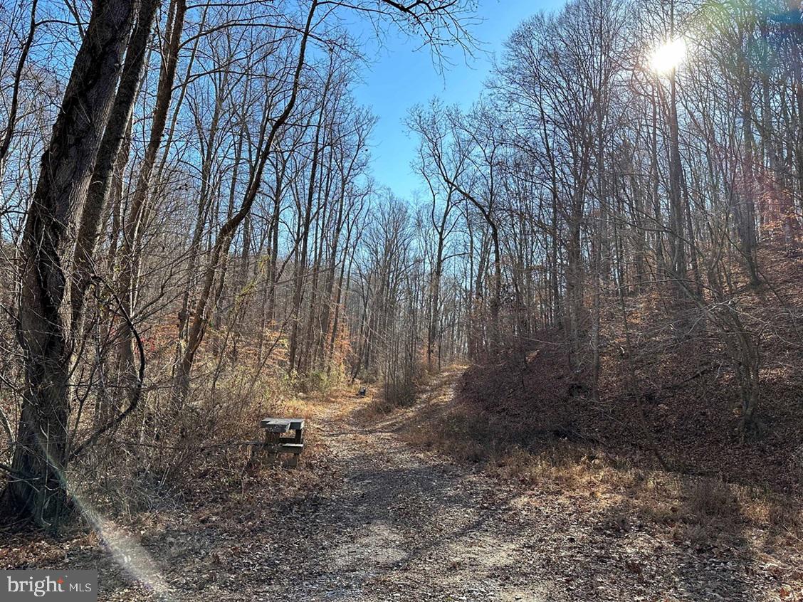 OLD DRIVER HILL ROAD (TRACT: H.M. DUVAL-1), SCOTTSVILLE, Virginia 24590, ,Farm,For Sale,OLD DRIVER HILL ROAD (TRACT: H.M. DUVAL-1),VAFN2000428 MLS # VAFN2000428