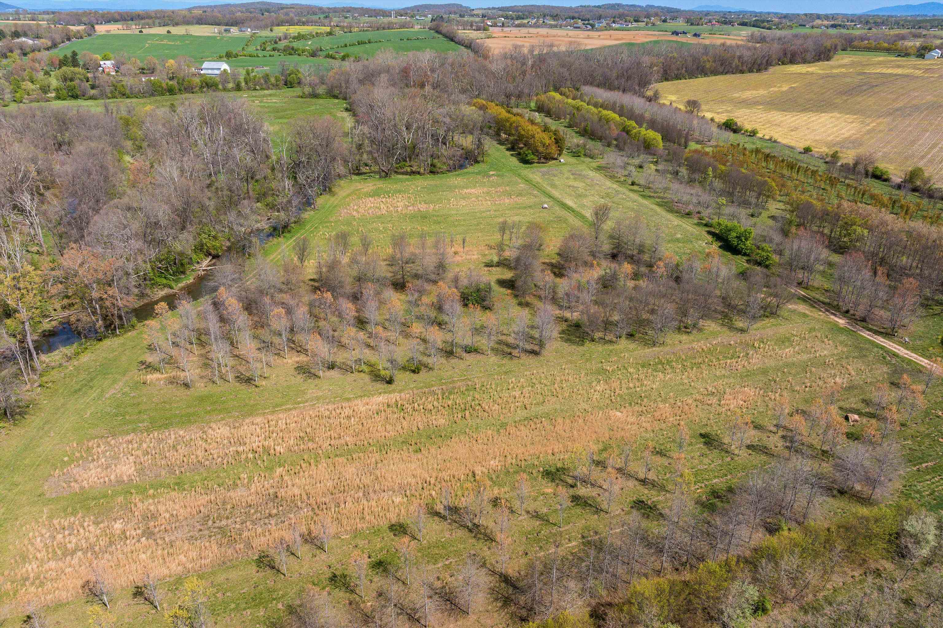 514 LIPSCOMB RD, STUARTS DRAFT, Virginia 24477, 10 Bedrooms Bedrooms, ,4 BathroomsBathrooms,Residential,14,514 LIPSCOMB RD,661479 MLS # 661479