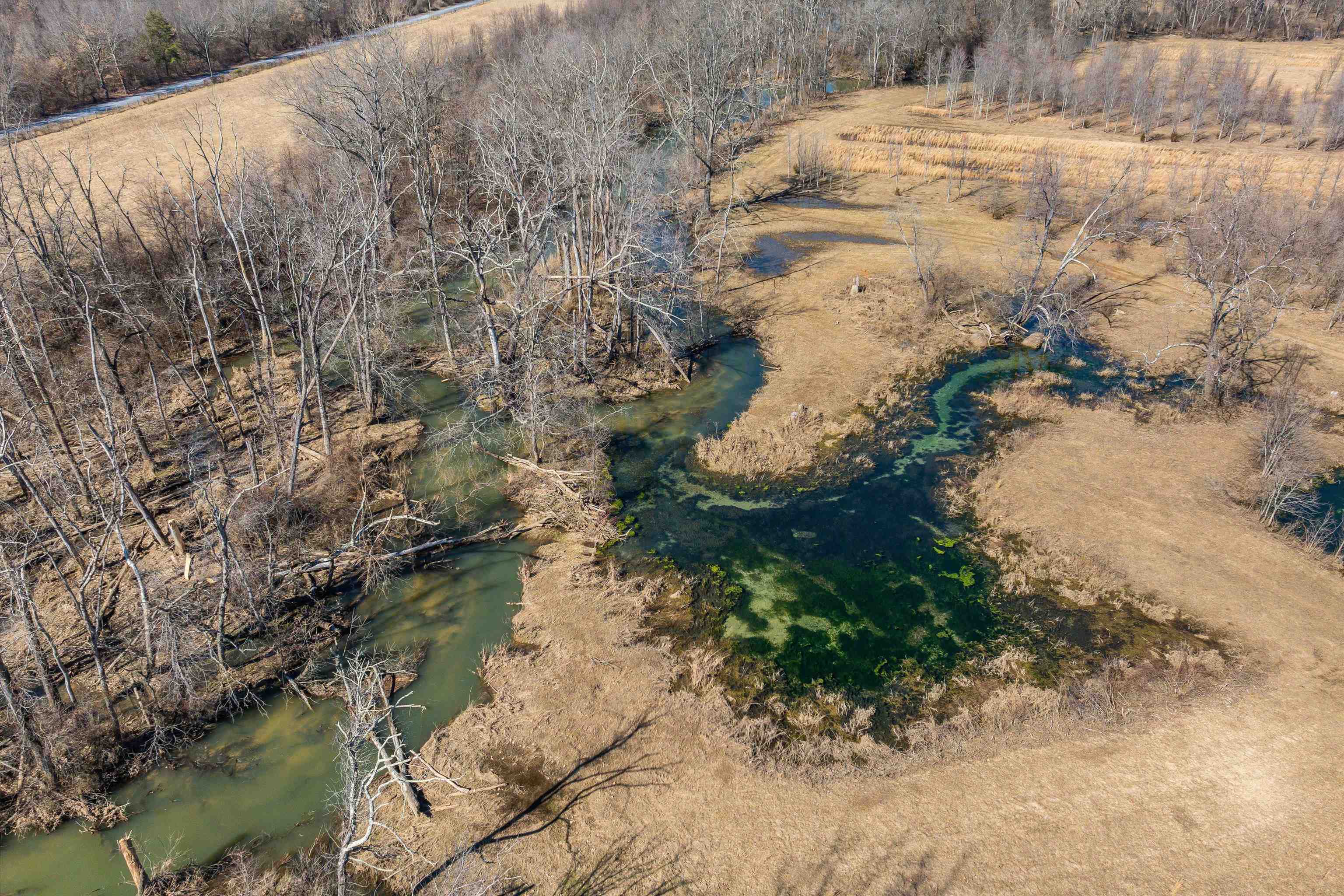 514 LIPSCOMB RD, STUARTS DRAFT, Virginia 24477, 10 Bedrooms Bedrooms, ,4 BathroomsBathrooms,Residential,14,514 LIPSCOMB RD,661479 MLS # 661479