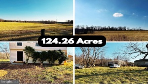 17330 COLLINS RD, GORDONSVILLE, Virginia 22942, ,Farm,For Sale,17330 COLLINS RD,VAOR2008990 MLS # VAOR2008990