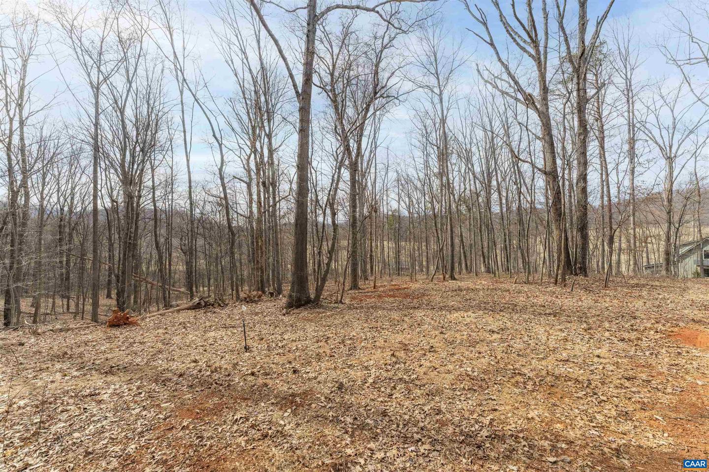 TBD WINSOME ORCHARD LN #D6, NORTH GARDEN, Virginia 22959, ,Land,For Sale,TBD WINSOME ORCHARD LN #D6,661754 MLS # 661754 TBD WINSOME ORCHARD LN #D6, NORTH GARDEN, Virginia 22959, ,Land,For Sale,TBD WINSOME ORCHARD LN #D6,661754 MLS # 661754