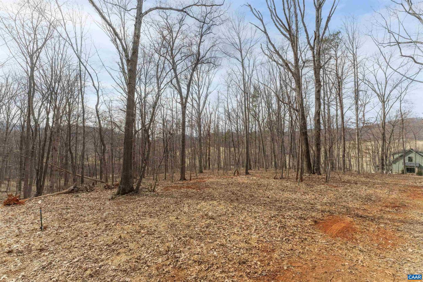 TBD WINSOME ORCHARD LN #D6, NORTH GARDEN, Virginia 22959, ,Land,For Sale,TBD WINSOME ORCHARD LN #D6,661754 MLS # 661754 TBD WINSOME ORCHARD LN #D6, NORTH GARDEN, Virginia 22959, ,Land,For Sale,TBD WINSOME ORCHARD LN #D6,661754 MLS # 661754