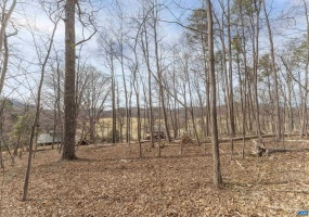 TBD WINSOME ORCHARD LN #D6, NORTH GARDEN, Virginia 22959, ,Land,For Sale,TBD WINSOME ORCHARD LN #D6,661754 MLS # 661754 TBD WINSOME ORCHARD LN #D6, NORTH GARDEN, Virginia 22959, ,Land,For Sale,TBD WINSOME ORCHARD LN #D6,661754 MLS # 661754