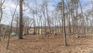 TBD WINSOME ORCHARD LN #D6, NORTH GARDEN, Virginia 22959, ,Land,For Sale,TBD WINSOME ORCHARD LN #D6,661754 MLS # 661754