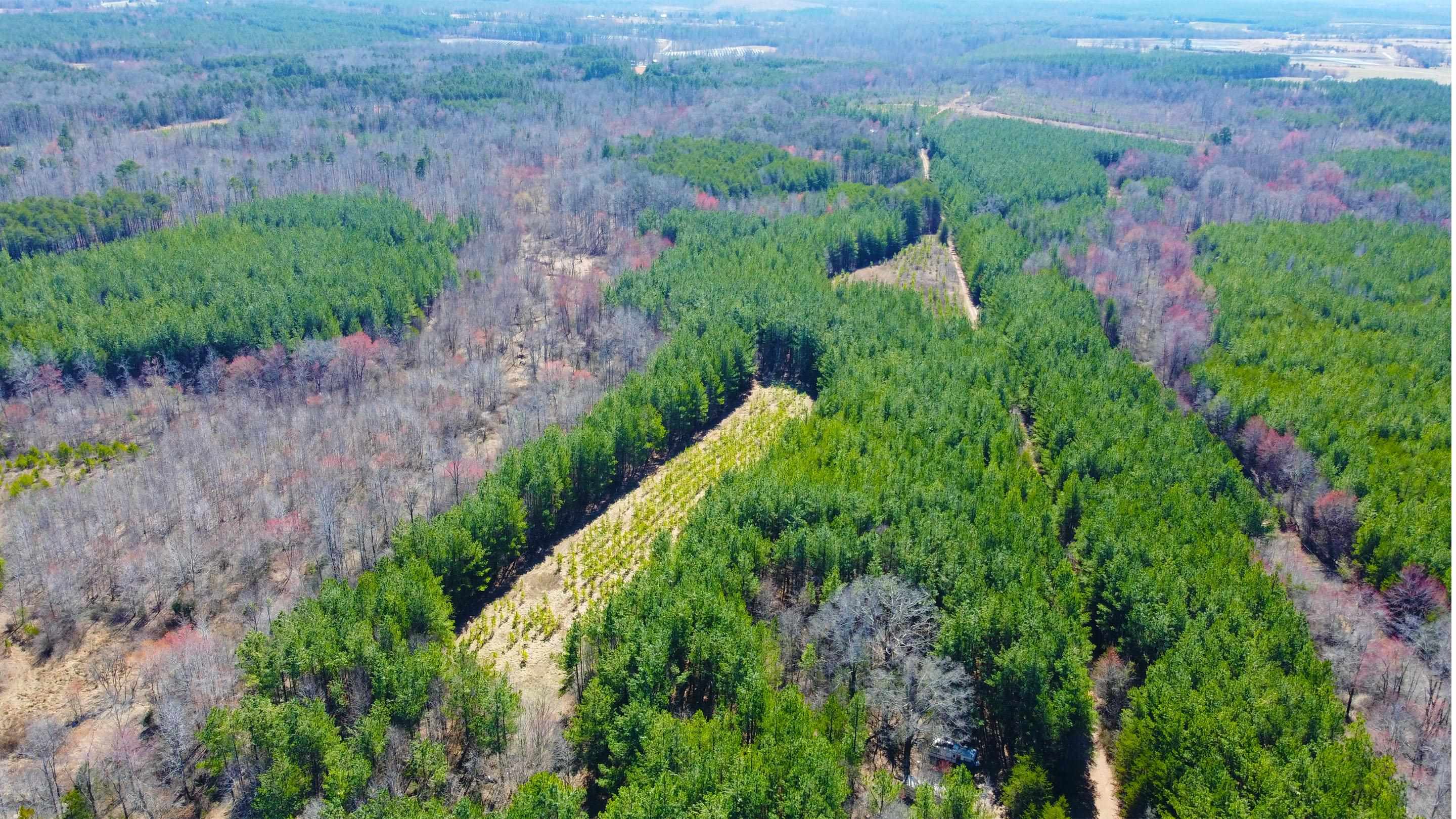 357 ac RENAN RD, GRETNA, Virginia 24557, ,Farm,14,357 ac RENAN RD,661885 MLS # 661885