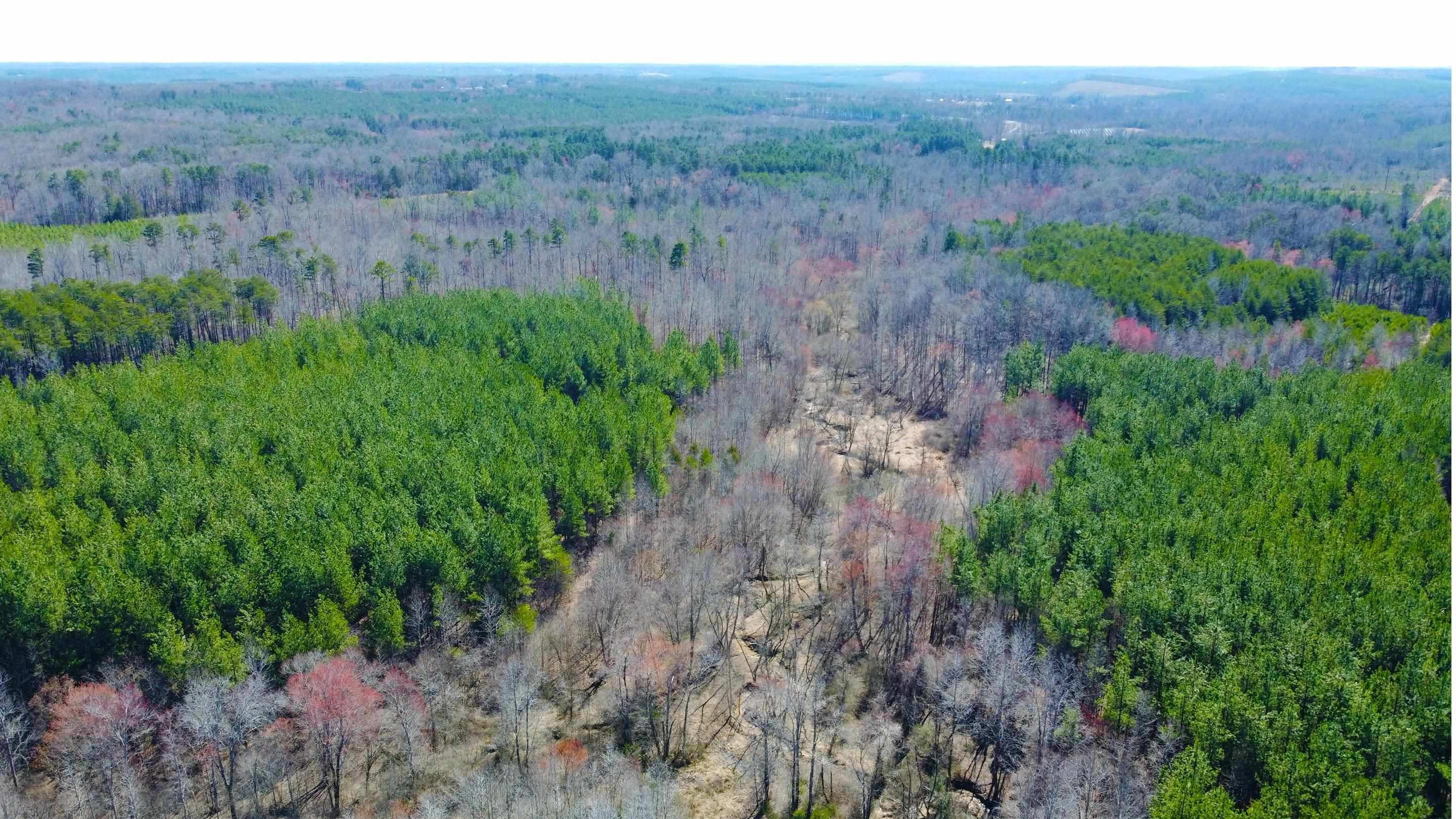 357 ac RENAN RD, GRETNA, Virginia 24557, ,Farm,14,357 ac RENAN RD,661885 MLS # 661885