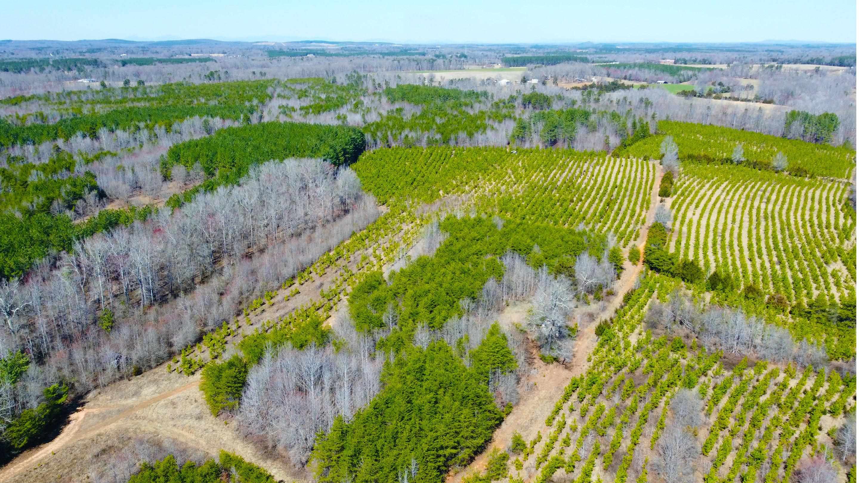 357 ac RENAN RD, GRETNA, Virginia 24557, ,Farm,14,357 ac RENAN RD,661885 MLS # 661885