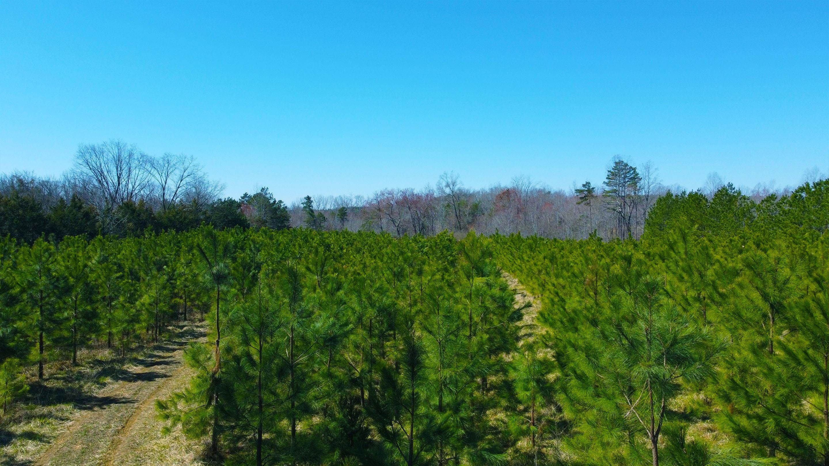 357 ac RENAN RD, GRETNA, Virginia 24557, ,Farm,14,357 ac RENAN RD,661885 MLS # 661885