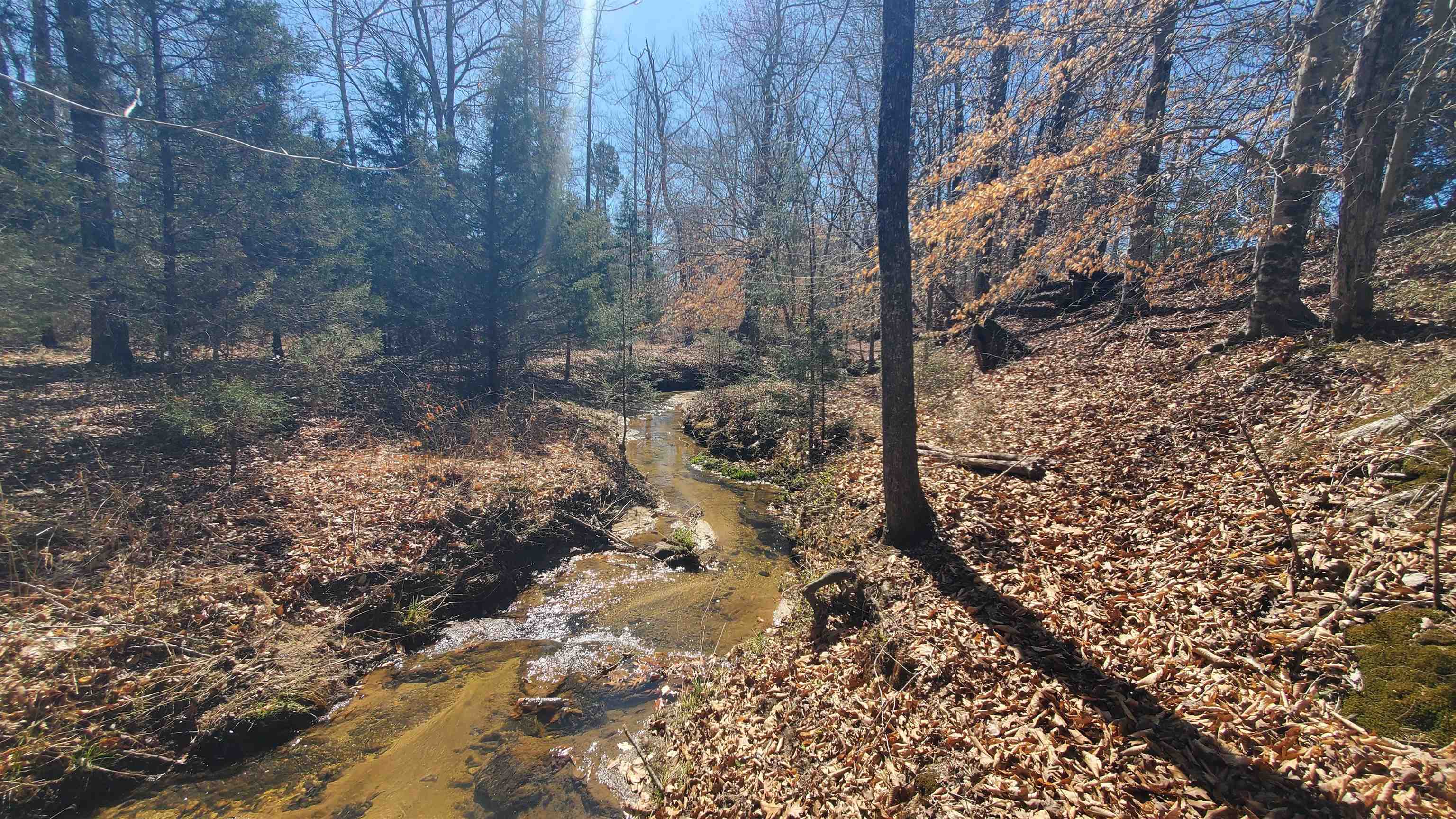 357 ac RENAN RD, GRETNA, Virginia 24557, ,Farm,14,357 ac RENAN RD,661885 MLS # 661885