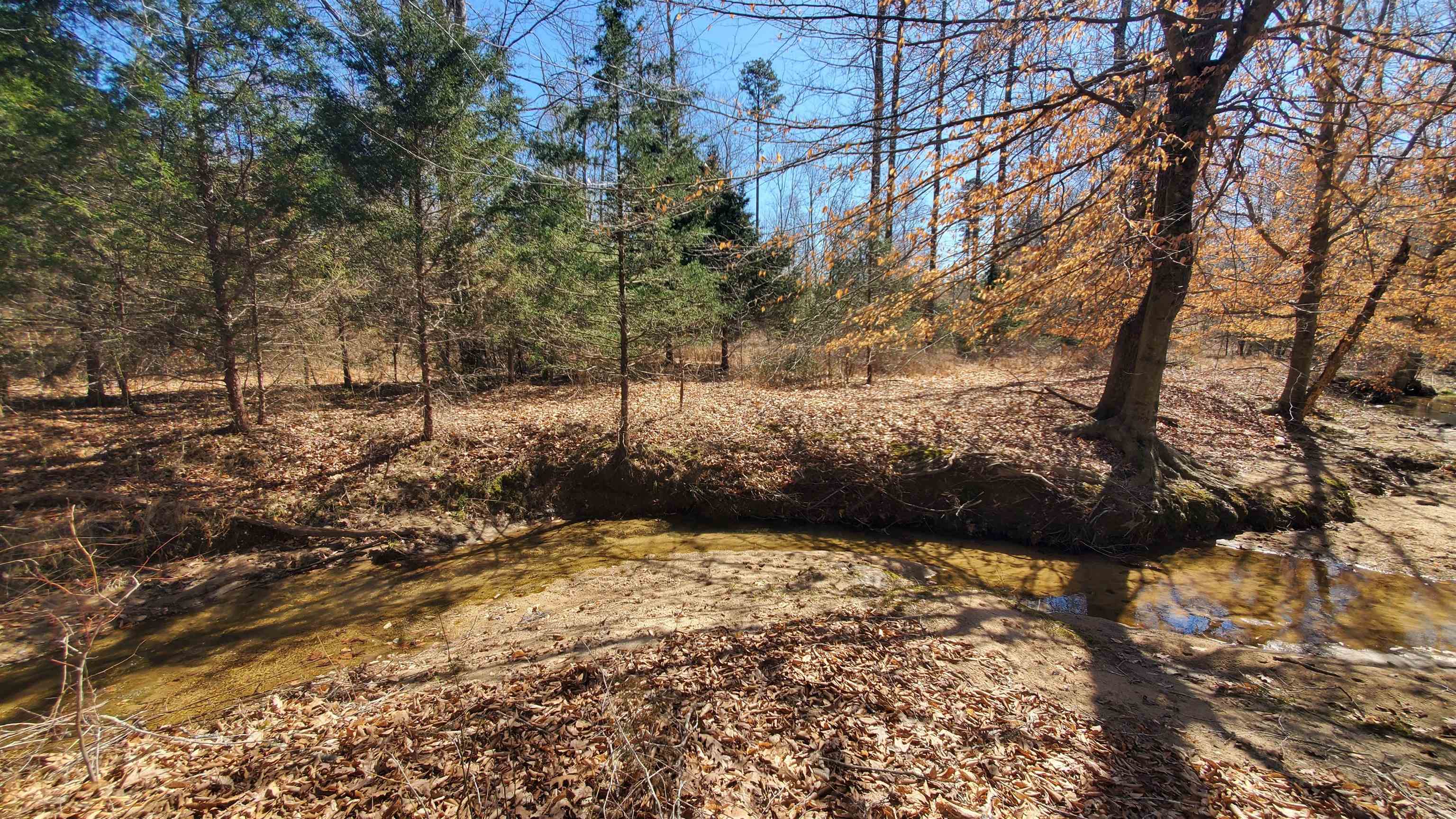 357 ac RENAN RD, GRETNA, Virginia 24557, ,Farm,14,357 ac RENAN RD,661885 MLS # 661885