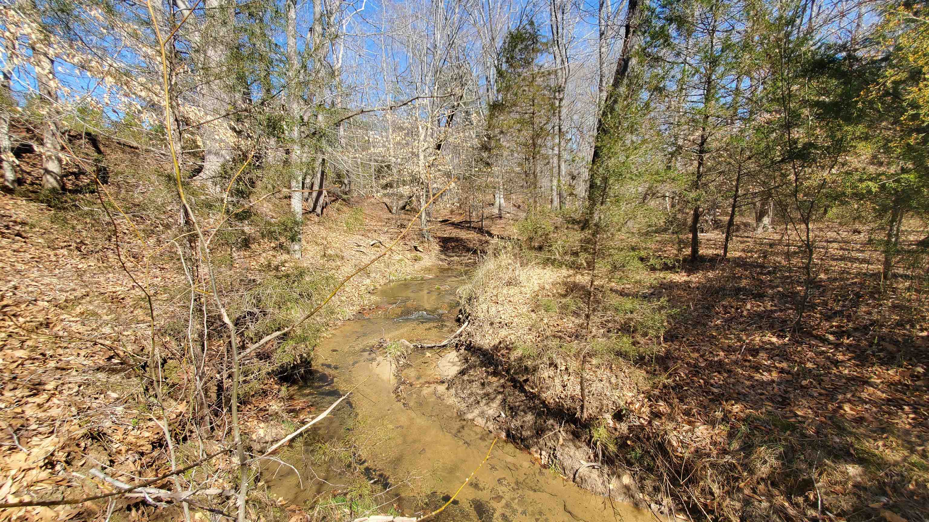 357 ac RENAN RD, GRETNA, Virginia 24557, ,Farm,14,357 ac RENAN RD,661885 MLS # 661885