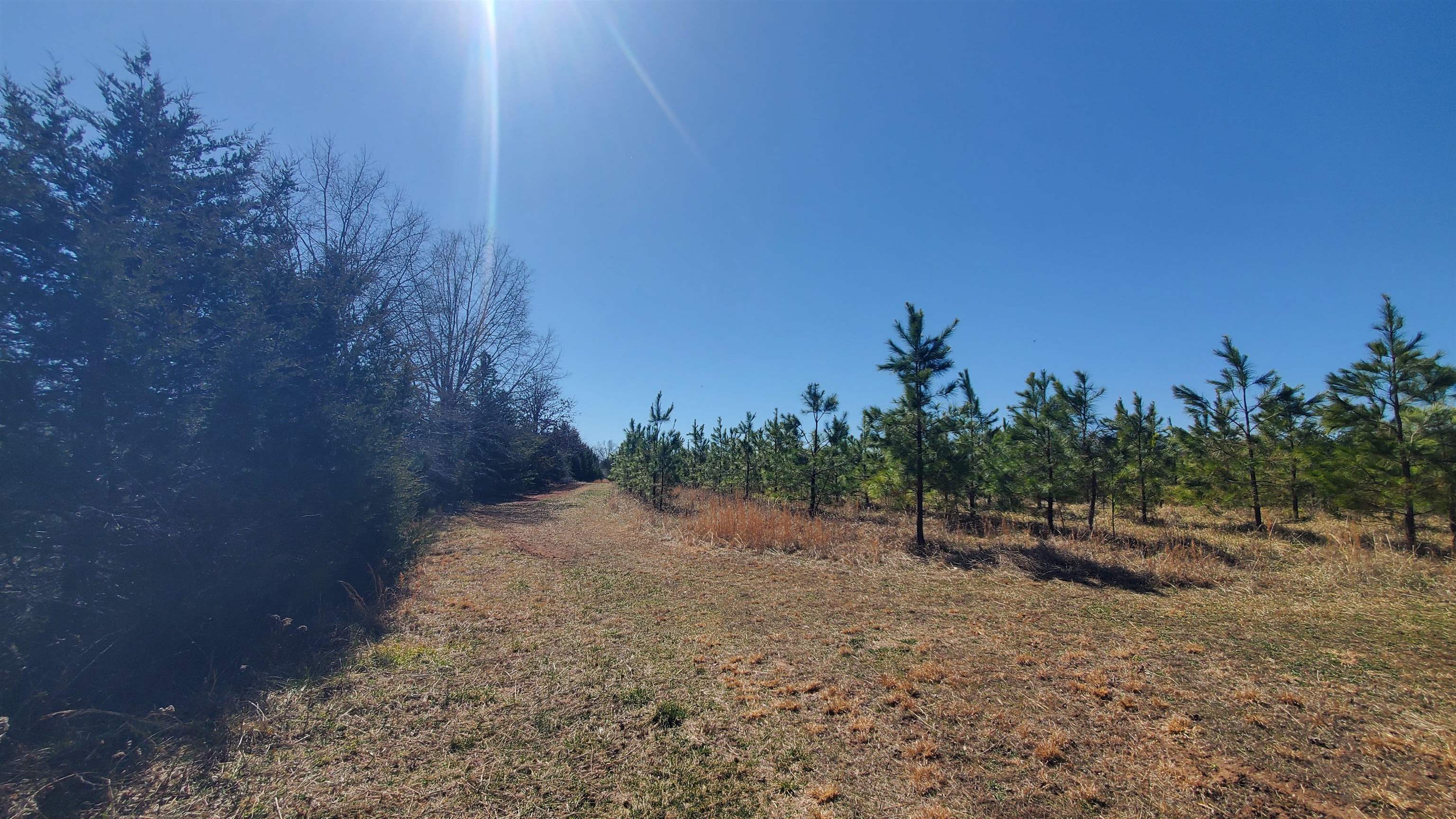 357 ac RENAN RD, GRETNA, Virginia 24557, ,Farm,14,357 ac RENAN RD,661885 MLS # 661885