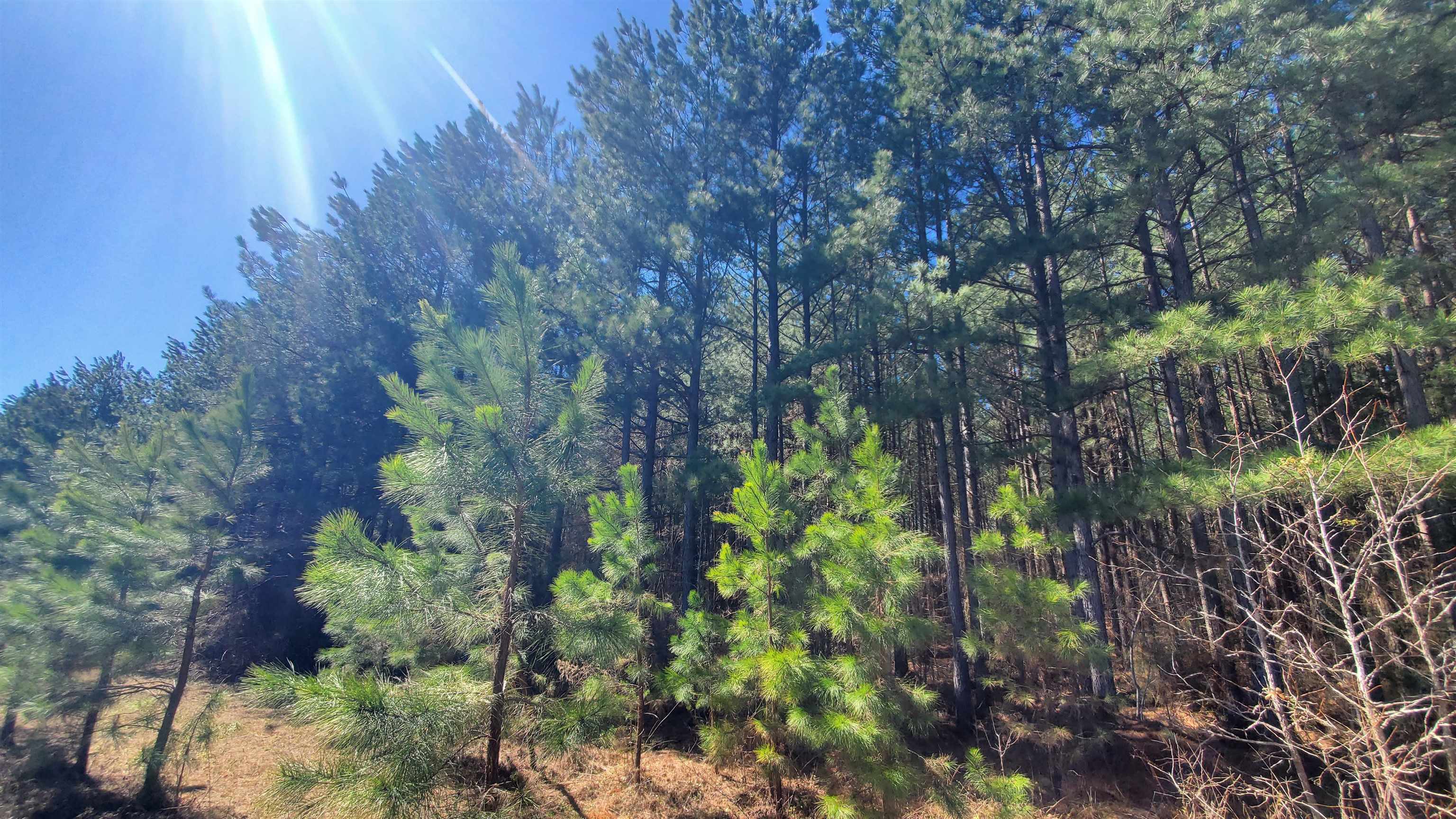 357 ac RENAN RD, GRETNA, Virginia 24557, ,Farm,14,357 ac RENAN RD,661885 MLS # 661885