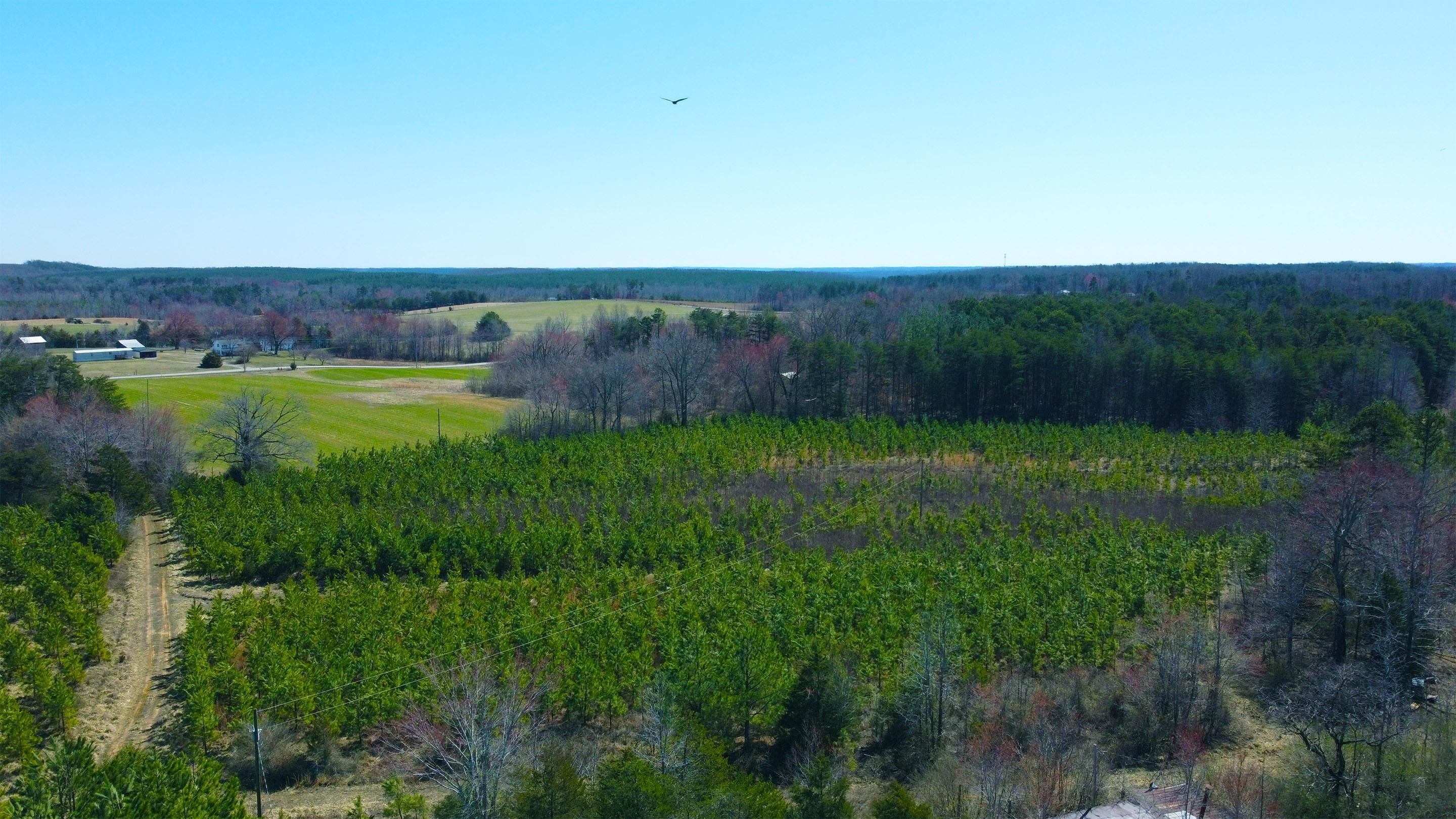 357 ac RENAN RD, GRETNA, Virginia 24557, ,Farm,14,357 ac RENAN RD,661885 MLS # 661885