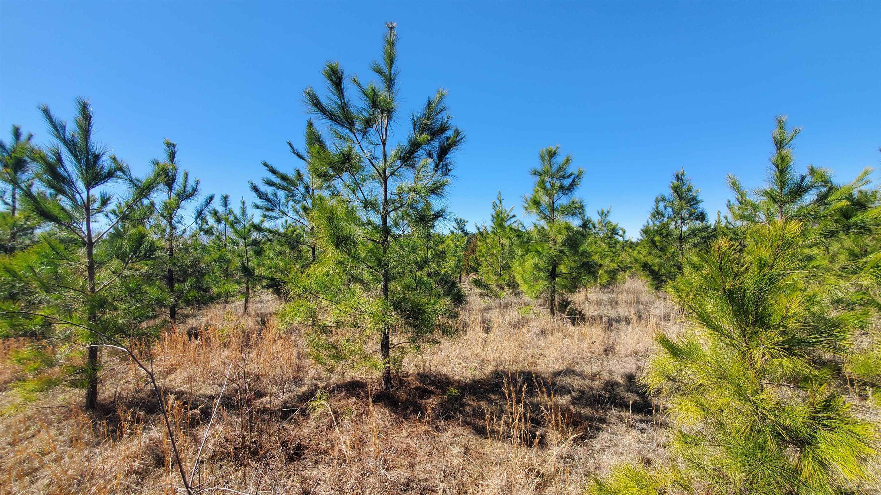 357 ac RENAN RD, GRETNA, Virginia 24557, ,Farm,14,357 ac RENAN RD,661885 MLS # 661885