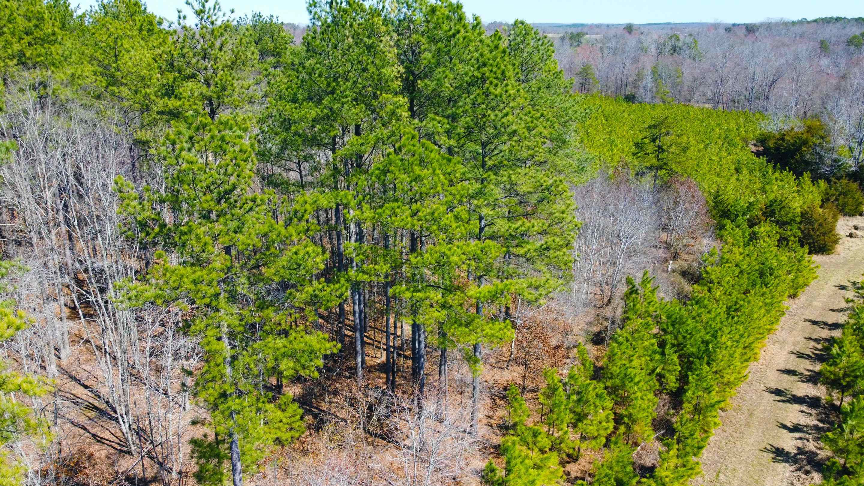 357 ac RENAN RD, GRETNA, Virginia 24557, ,Farm,14,357 ac RENAN RD,661885 MLS # 661885