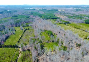 357 ac RENAN RD, GRETNA, Virginia 24557, ,Farm,14,357 ac RENAN RD,661885 MLS # 661885 357 ac RENAN RD, GRETNA, Virginia 24557, ,Farm,14,357 ac RENAN RD,661885 MLS # 661885