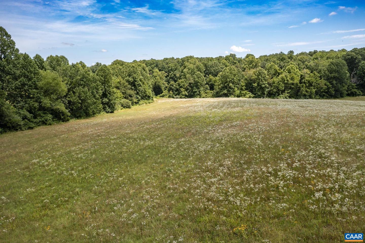 11697 SPOTSWOOD TRL, STANARDSVILLE, Virginia 22973, ,Farm,For Sale,11697 SPOTSWOOD TRL,661954 MLS # 661954 11697 SPOTSWOOD TRL, STANARDSVILLE, Virginia 22973, ,Farm,For Sale,11697 SPOTSWOOD TRL,661954 MLS # 661954