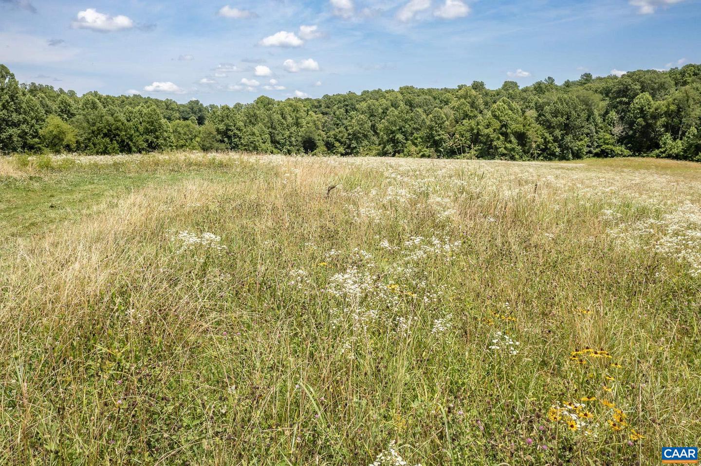 11697 SPOTSWOOD TRL, STANARDSVILLE, Virginia 22973, ,Farm,For Sale,11697 SPOTSWOOD TRL,661954 MLS # 661954 11697 SPOTSWOOD TRL, STANARDSVILLE, Virginia 22973, ,Farm,For Sale,11697 SPOTSWOOD TRL,661954 MLS # 661954