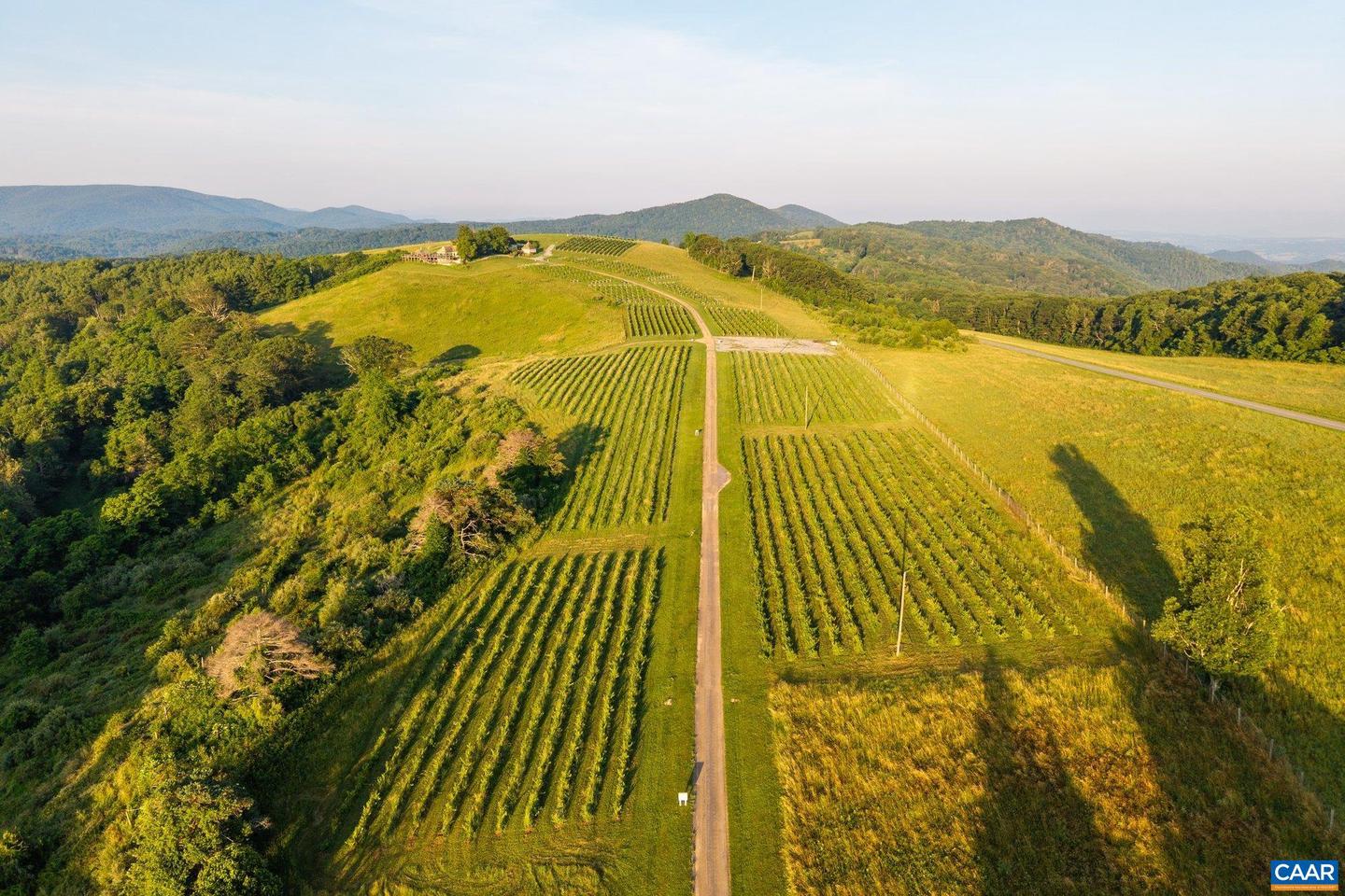 24981 BLUE RIDGE PKWY, VESUVIUS, Virginia 24483, 4 Bedrooms Bedrooms, ,4 BathroomsBathrooms,Residential,For Sale,24981 BLUE RIDGE PKWY,661914 MLS # 661914 24981 BLUE RIDGE PKWY, VESUVIUS, Virginia 24483, 4 Bedrooms Bedrooms, ,4 BathroomsBathrooms,Residential,For Sale,24981 BLUE RIDGE PKWY,661914 MLS # 661914