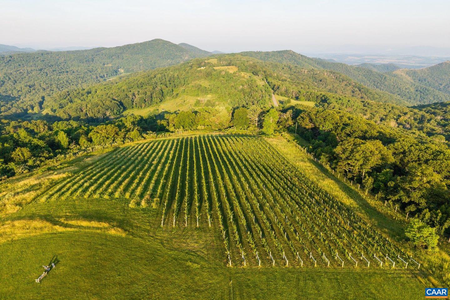 24981 BLUE RIDGE PKWY, VESUVIUS, Virginia 24483, 4 Bedrooms Bedrooms, ,4 BathroomsBathrooms,Residential,For Sale,24981 BLUE RIDGE PKWY,661914 MLS # 661914 24981 BLUE RIDGE PKWY, VESUVIUS, Virginia 24483, 4 Bedrooms Bedrooms, ,4 BathroomsBathrooms,Residential,For Sale,24981 BLUE RIDGE PKWY,661914 MLS # 661914