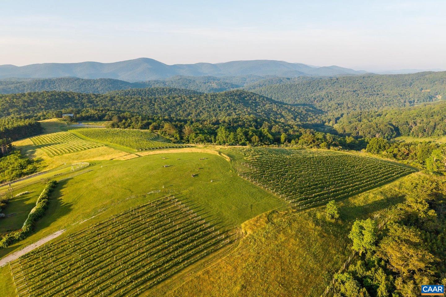 24981 BLUE RIDGE PKWY, VESUVIUS, Virginia 24483, 4 Bedrooms Bedrooms, ,4 BathroomsBathrooms,Residential,For Sale,24981 BLUE RIDGE PKWY,661914 MLS # 661914 24981 BLUE RIDGE PKWY, VESUVIUS, Virginia 24483, 4 Bedrooms Bedrooms, ,4 BathroomsBathrooms,Residential,For Sale,24981 BLUE RIDGE PKWY,661914 MLS # 661914