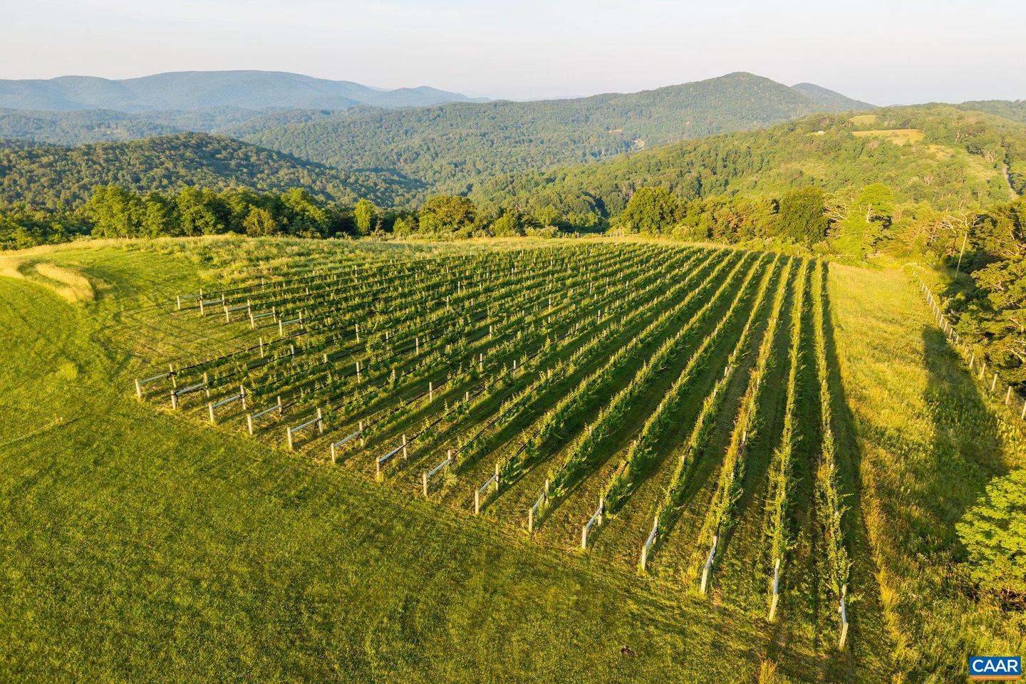 24981 BLUE RIDGE PKWY, VESUVIUS, Virginia 24483, 4 Bedrooms Bedrooms, ,4 BathroomsBathrooms,Residential,For Sale,24981 BLUE RIDGE PKWY,661914 MLS # 661914 24981 BLUE RIDGE PKWY, VESUVIUS, Virginia 24483, 4 Bedrooms Bedrooms, ,4 BathroomsBathrooms,Residential,For Sale,24981 BLUE RIDGE PKWY,661914 MLS # 661914