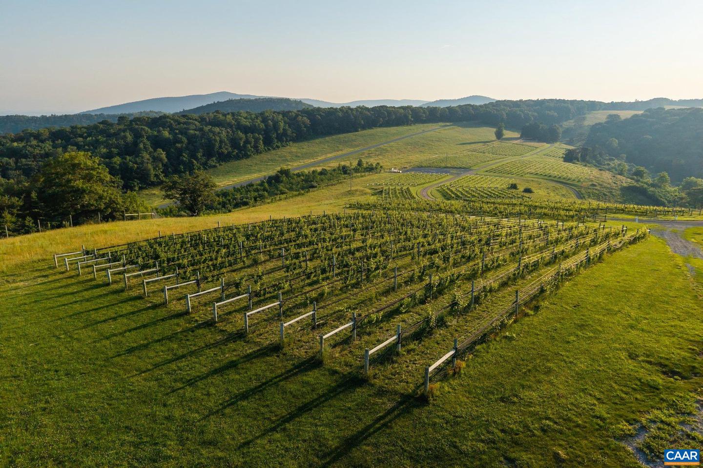 24981 BLUE RIDGE PKWY, VESUVIUS, Virginia 24483, 4 Bedrooms Bedrooms, ,4 BathroomsBathrooms,Residential,For Sale,24981 BLUE RIDGE PKWY,661914 MLS # 661914 24981 BLUE RIDGE PKWY, VESUVIUS, Virginia 24483, 4 Bedrooms Bedrooms, ,4 BathroomsBathrooms,Residential,For Sale,24981 BLUE RIDGE PKWY,661914 MLS # 661914