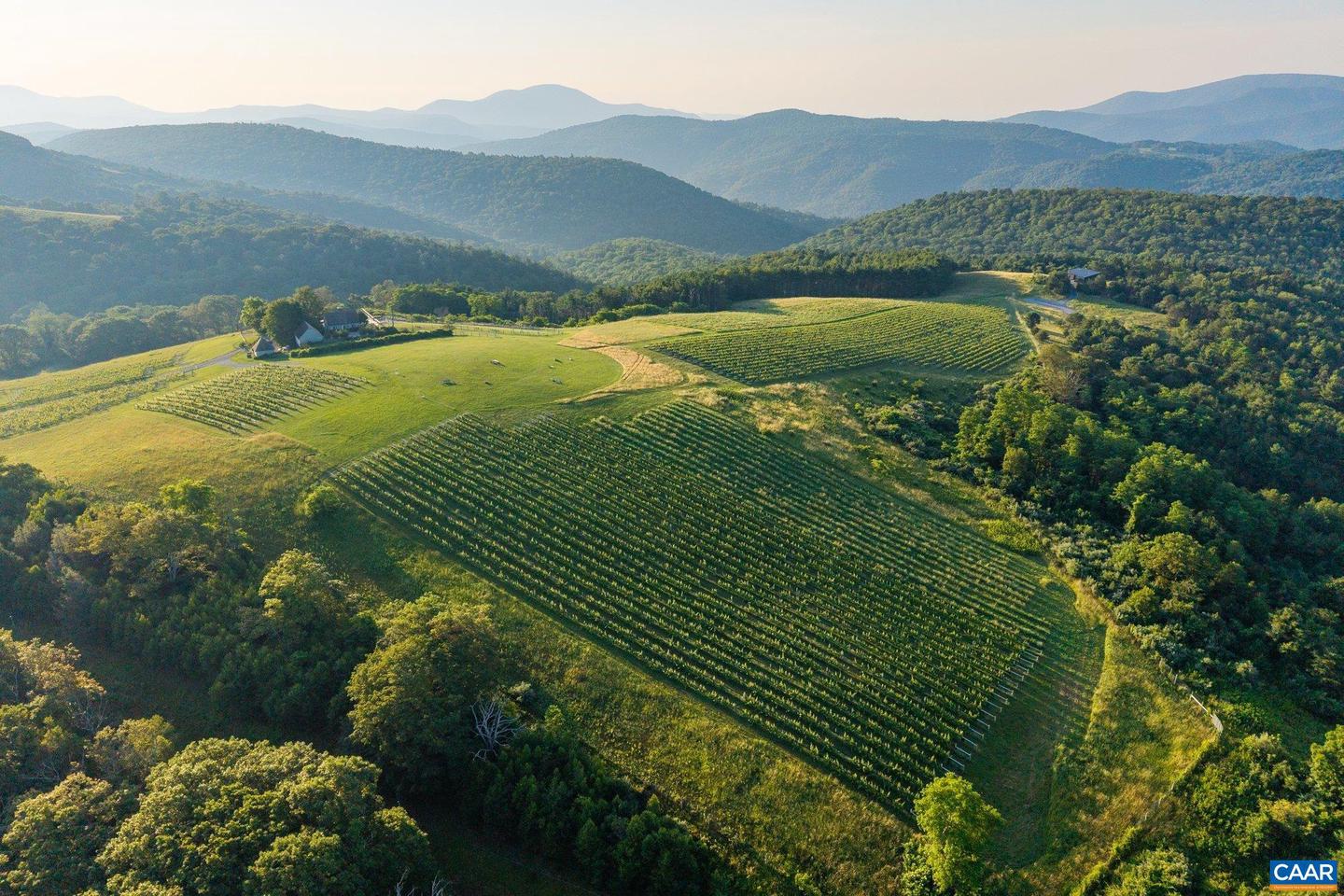 24981 BLUE RIDGE PKWY, VESUVIUS, Virginia 24483, 4 Bedrooms Bedrooms, ,4 BathroomsBathrooms,Residential,For Sale,24981 BLUE RIDGE PKWY,661914 MLS # 661914 24981 BLUE RIDGE PKWY, VESUVIUS, Virginia 24483, 4 Bedrooms Bedrooms, ,4 BathroomsBathrooms,Residential,For Sale,24981 BLUE RIDGE PKWY,661914 MLS # 661914