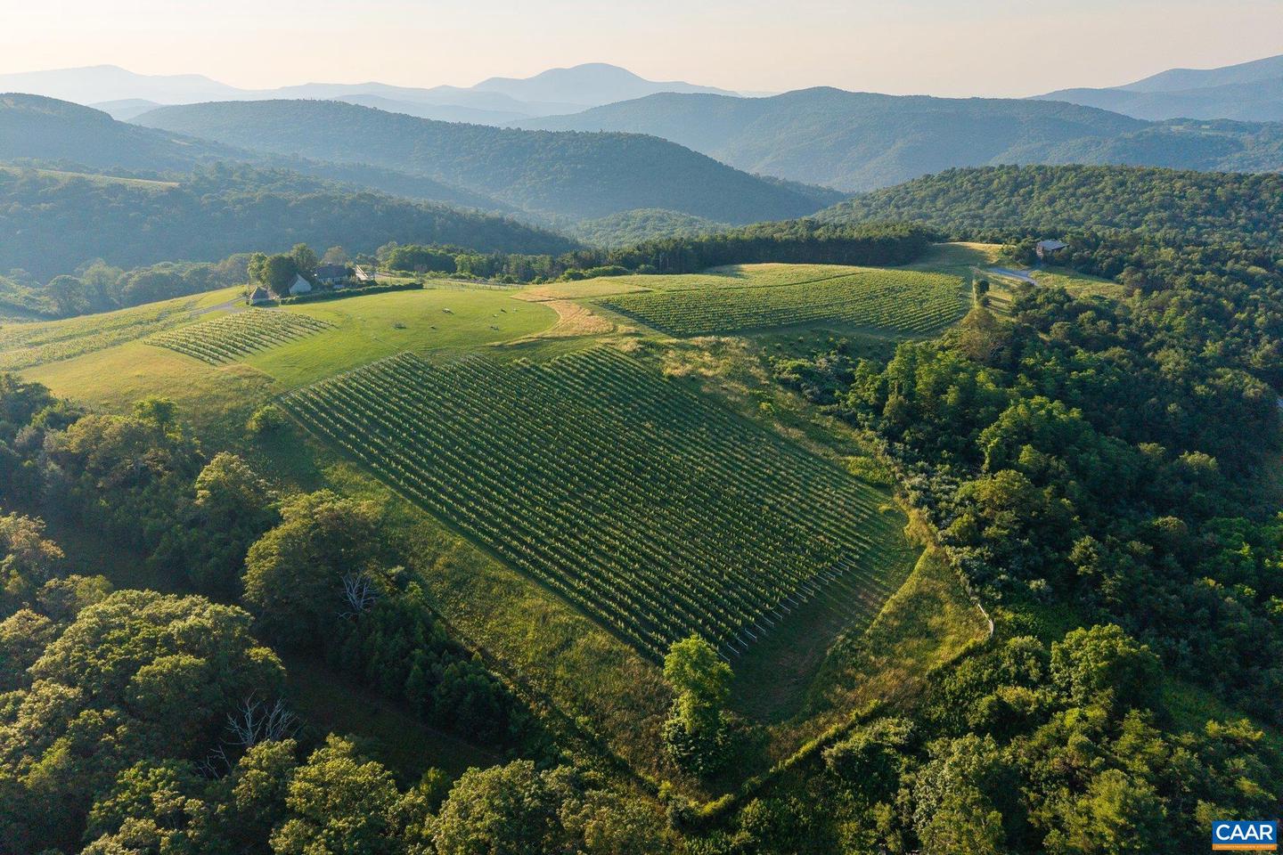 24981 BLUE RIDGE PKWY, VESUVIUS, Virginia 24483, 4 Bedrooms Bedrooms, ,4 BathroomsBathrooms,Residential,For Sale,24981 BLUE RIDGE PKWY,661914 MLS # 661914 24981 BLUE RIDGE PKWY, VESUVIUS, Virginia 24483, 4 Bedrooms Bedrooms, ,4 BathroomsBathrooms,Residential,For Sale,24981 BLUE RIDGE PKWY,661914 MLS # 661914