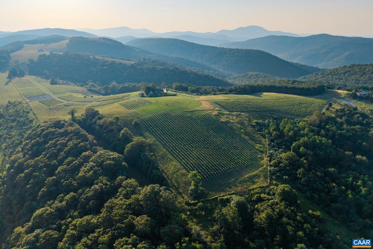 24981 BLUE RIDGE PKWY, VESUVIUS, Virginia 24483, 4 Bedrooms Bedrooms, ,4 BathroomsBathrooms,Residential,For Sale,24981 BLUE RIDGE PKWY,661914 MLS # 661914 24981 BLUE RIDGE PKWY, VESUVIUS, Virginia 24483, 4 Bedrooms Bedrooms, ,4 BathroomsBathrooms,Residential,For Sale,24981 BLUE RIDGE PKWY,661914 MLS # 661914