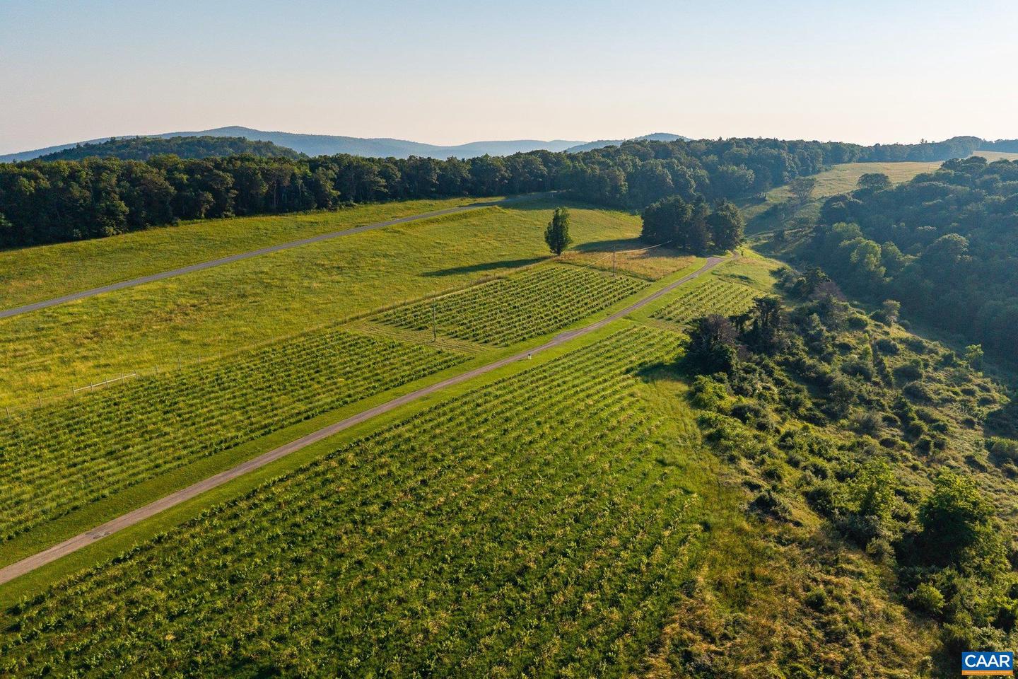 24981 BLUE RIDGE PKWY, VESUVIUS, Virginia 24483, 4 Bedrooms Bedrooms, ,4 BathroomsBathrooms,Residential,For Sale,24981 BLUE RIDGE PKWY,661914 MLS # 661914 24981 BLUE RIDGE PKWY, VESUVIUS, Virginia 24483, 4 Bedrooms Bedrooms, ,4 BathroomsBathrooms,Residential,For Sale,24981 BLUE RIDGE PKWY,661914 MLS # 661914